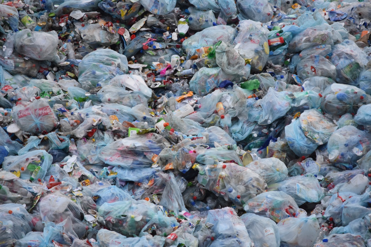 废塑料、生活垃圾