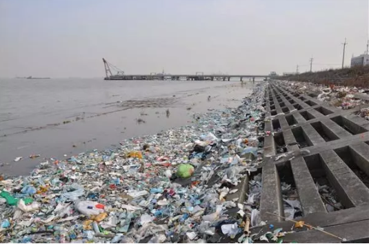 非法抛入长江的垃圾给水体造成严重污染